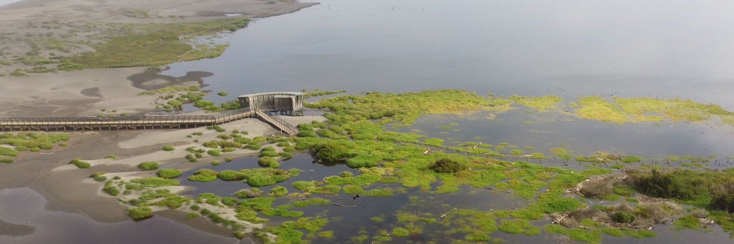 Fundación Cosmos banner