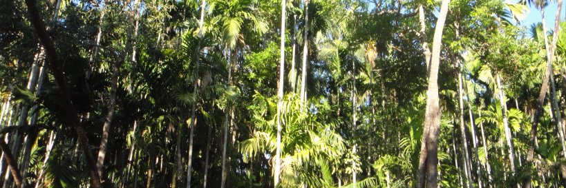 bkIITGoa's profile banner image