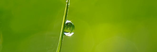 NickolasFiore's profile banner image
