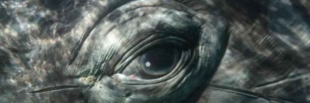 Malegriaa_'s profile banner image