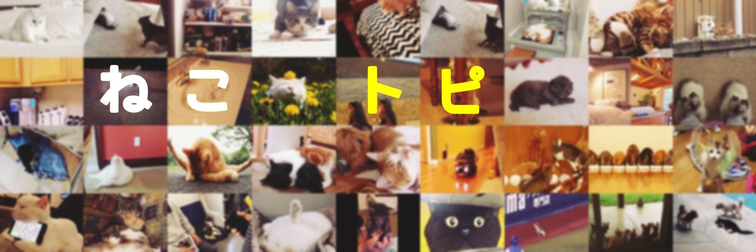 nekotpcom's profile banner image