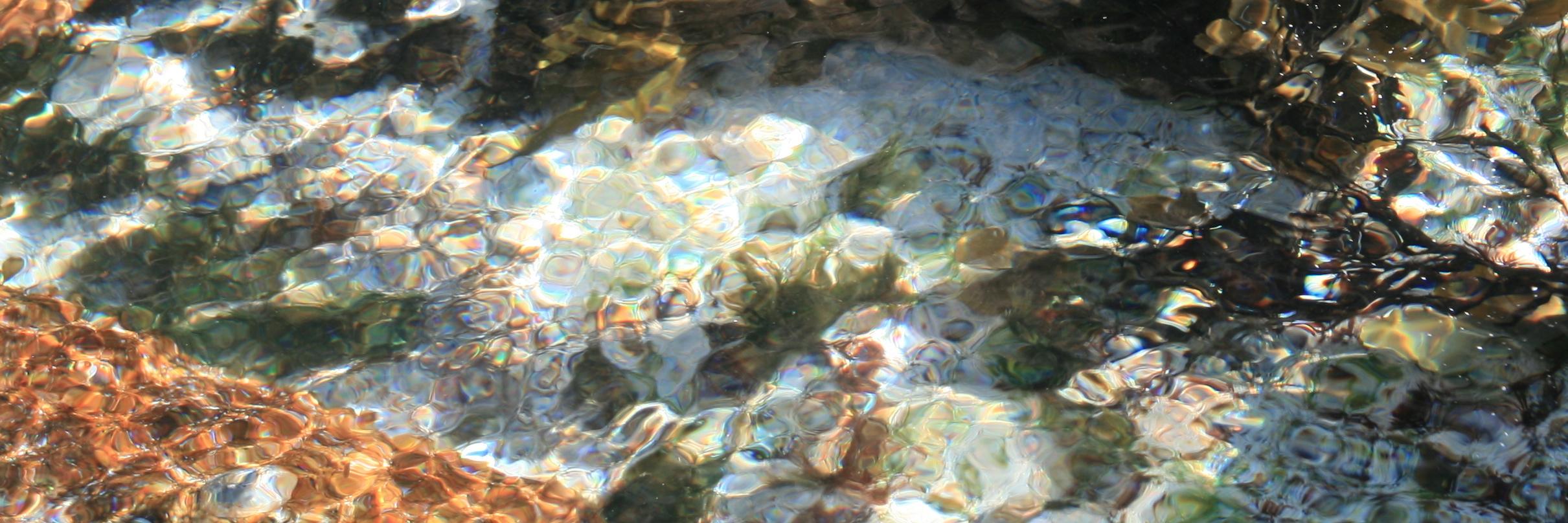 Cornish Seaweed Bath banner