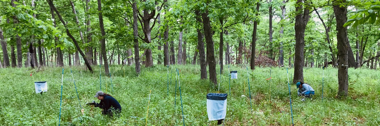 Janey R. Lienau banner