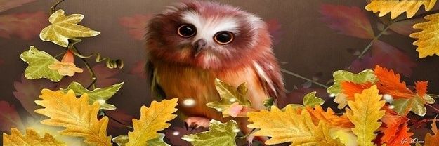ConureFeathers's profile banner image