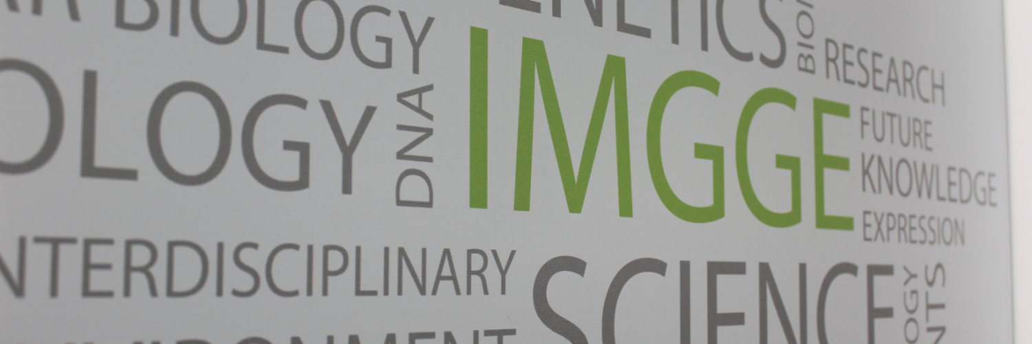 IMGGE banner