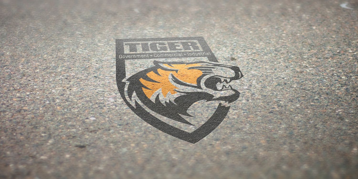 TigerBS_'s profile banner image