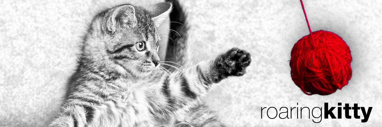 Roaring Kitty's banner