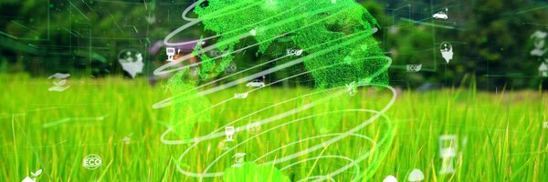 NhedeNicholas Profile Banner