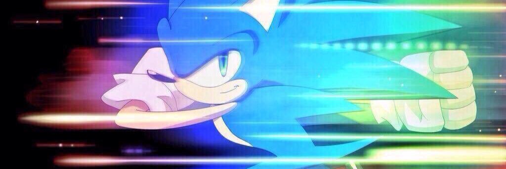 Sonic The Hedgehog banner
