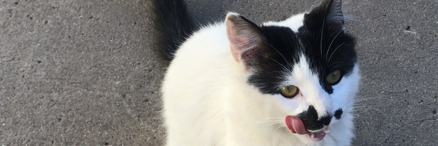 zoemaria2's profile banner image