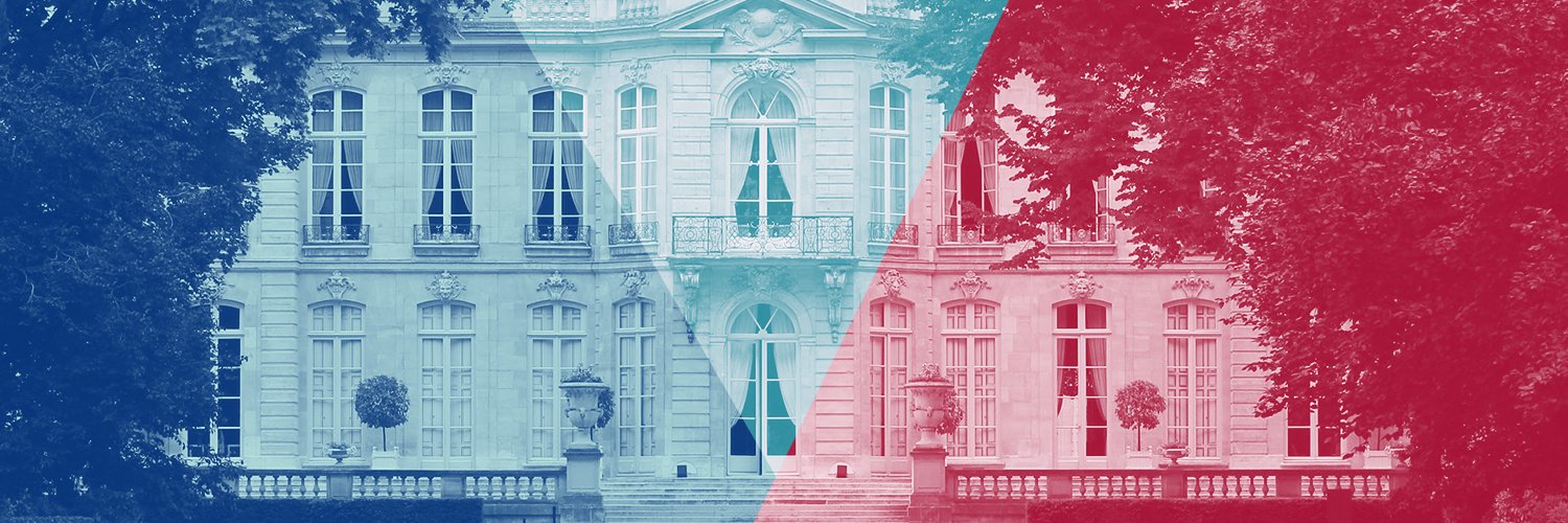 French Government banner