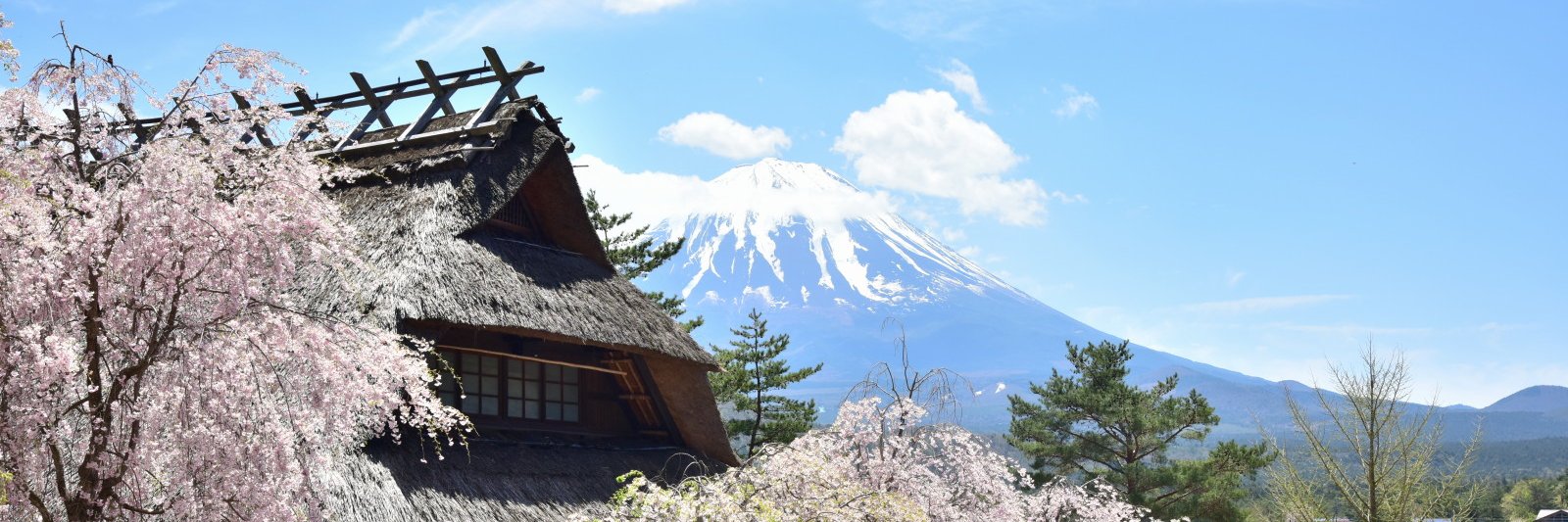 気まぐれのリュウ☆ banner