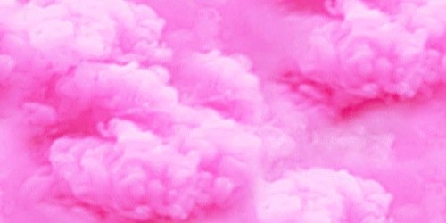 NixllsPrincess_'s profile banner image