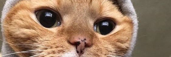 faIIininyouth's profile banner image