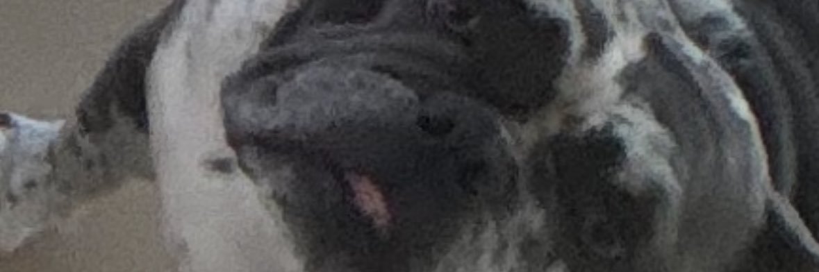 cupcakecaitt's profile banner image
