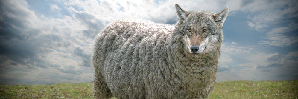 Afdwatch Watch banner