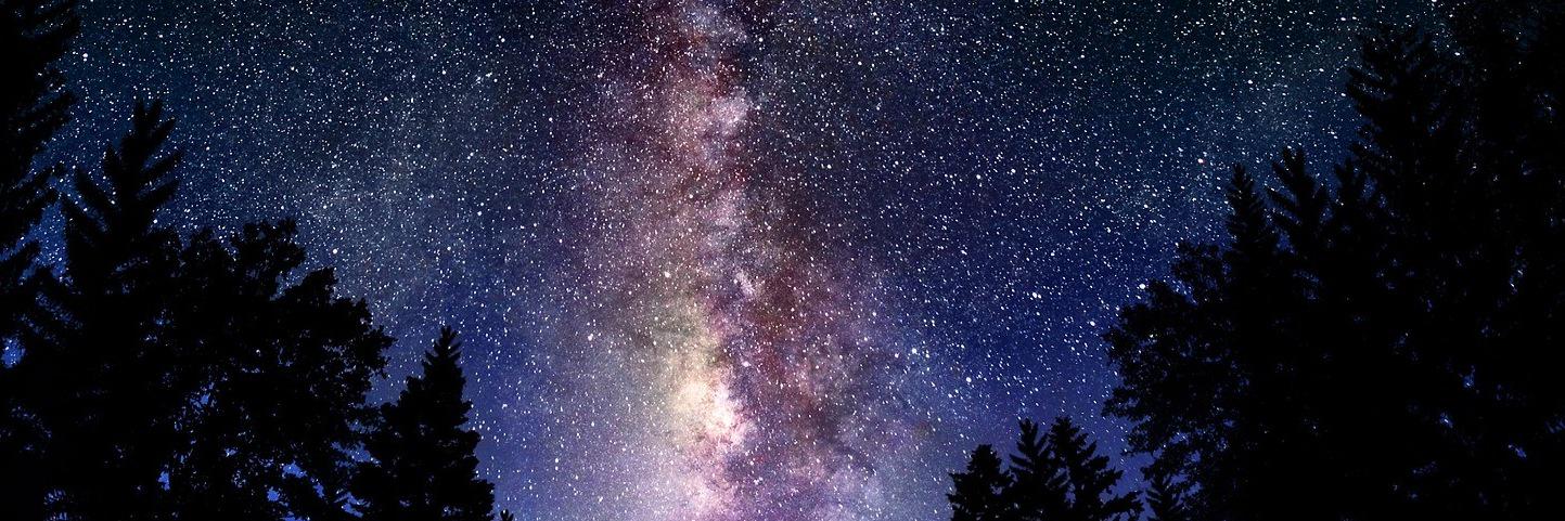 CaniceBlack's profile banner image