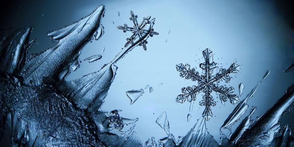 nilufer_adali's profile banner image