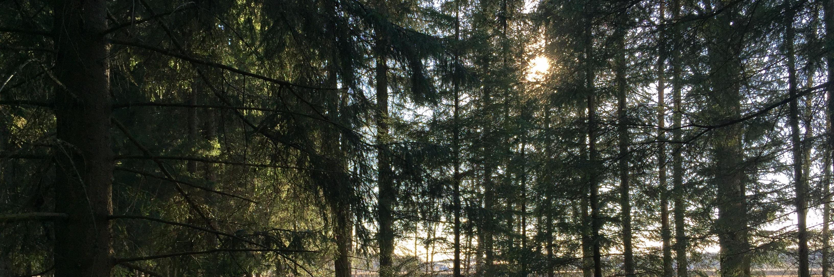 Millakoo's profile banner image