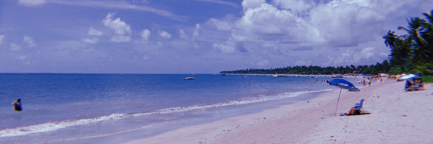 marimarocamari's profile banner image