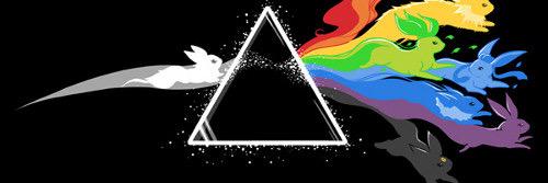 sethlomas's profile banner image