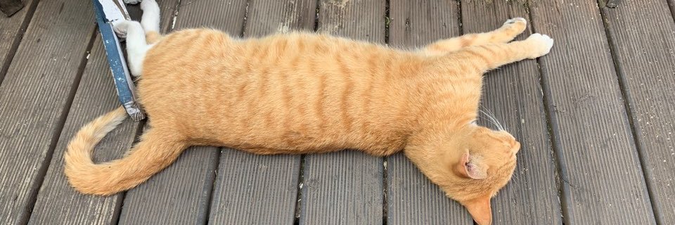slicecat1224's profile banner image
