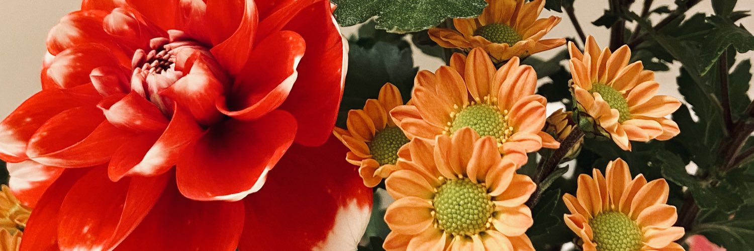 fzb05044's profile banner image