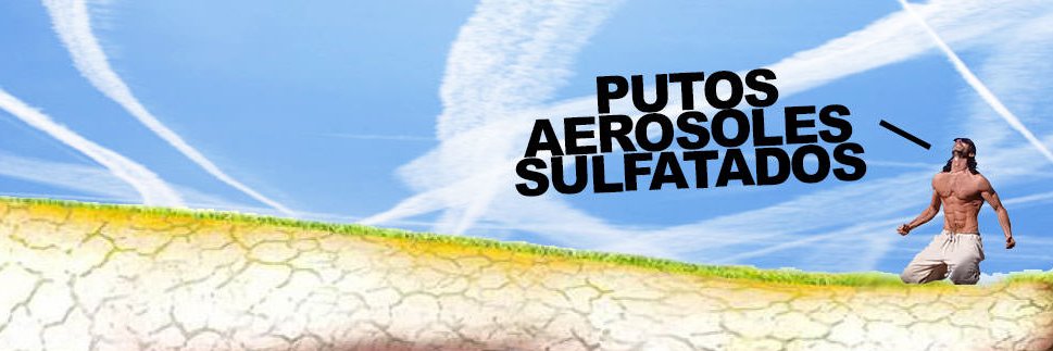 siesta enjoyer banner