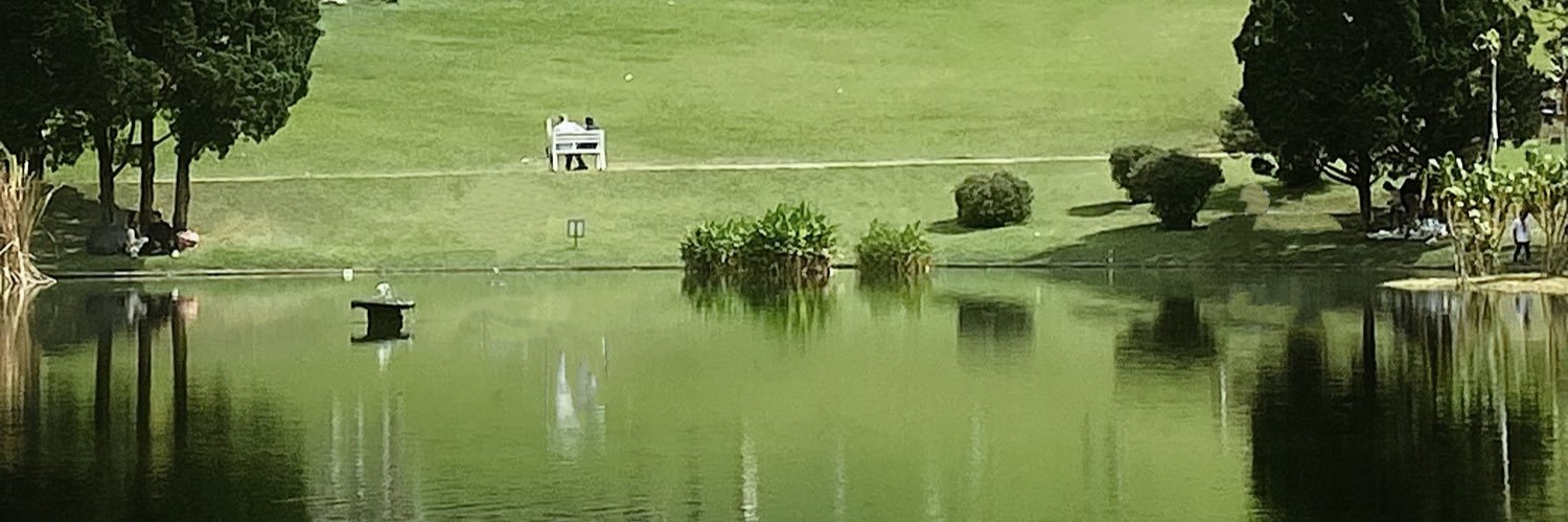 siseesaw's profile banner image
