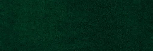 gagronsky's profile banner image