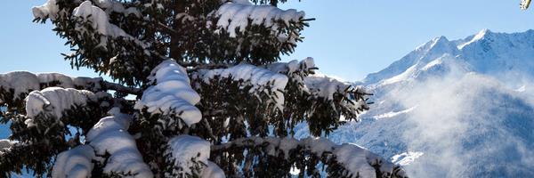 SpunQ_Shops's profile banner image