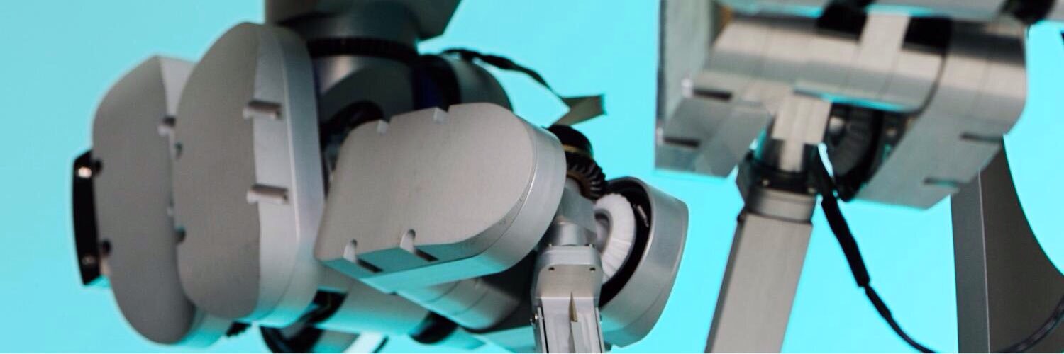 carmen van vilsteren banner