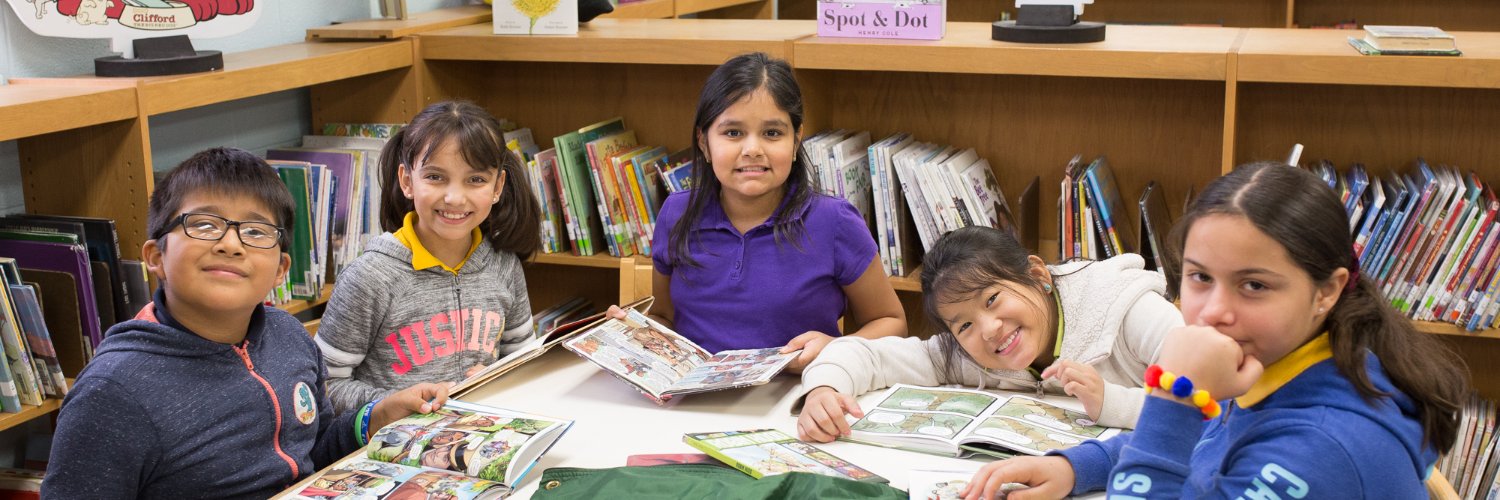 Limitless Libraries banner