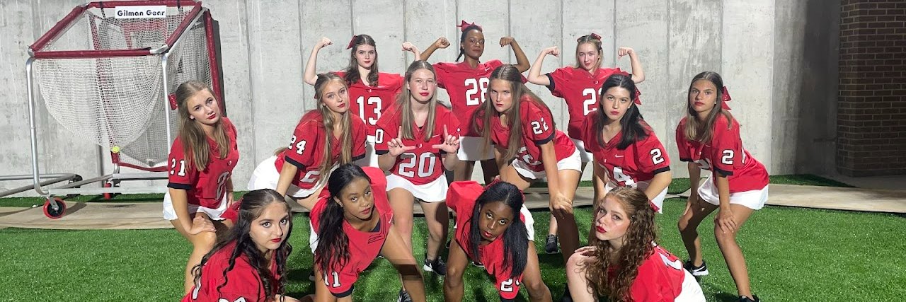 Union Highsteppers banner