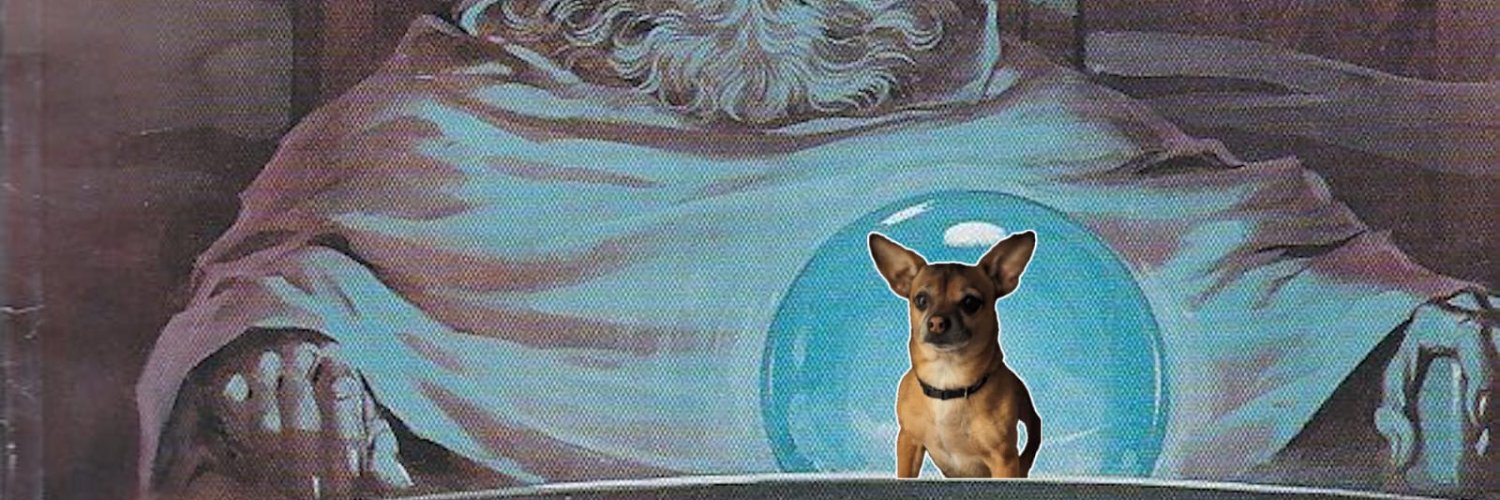 ksuski's profile banner image