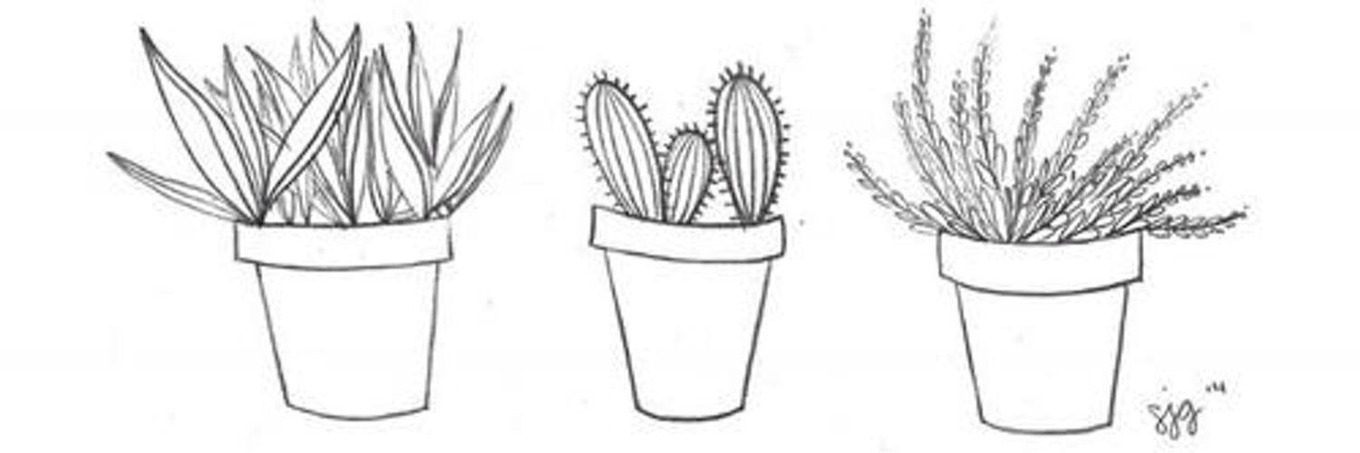 cactushelp's profile banner image