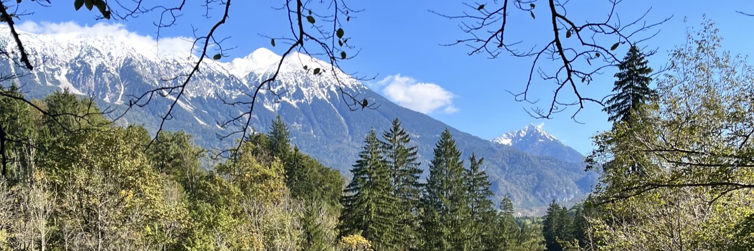 Patrycja Krajczyńska banner