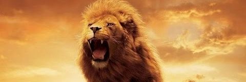 FJRR1972's profile banner image