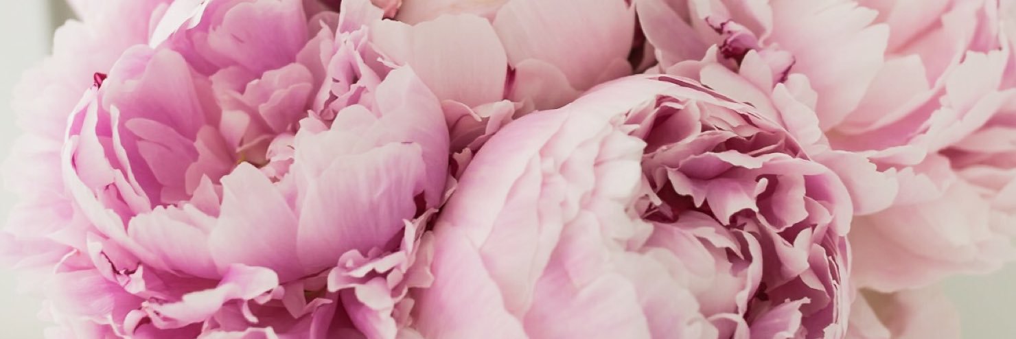 fancythingsblog's profile banner image