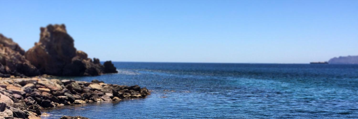 GSG_DANCE's profile banner image