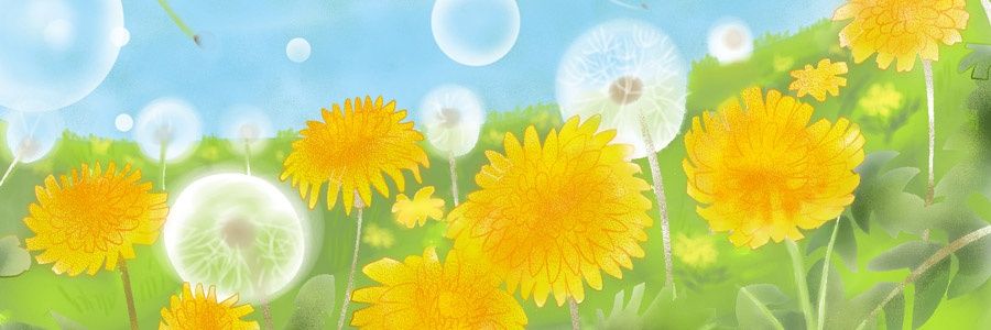 O84kazu89naniwa's profile banner image
