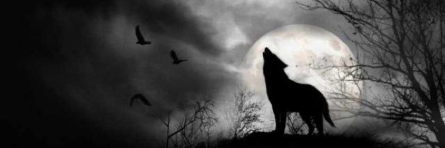 WolvesNerf's profile banner image
