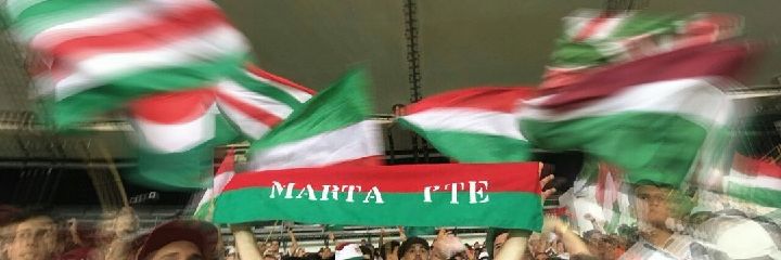 rubinffc's profile banner image