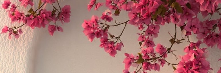 ALLEYPARKFyapy's profile banner image