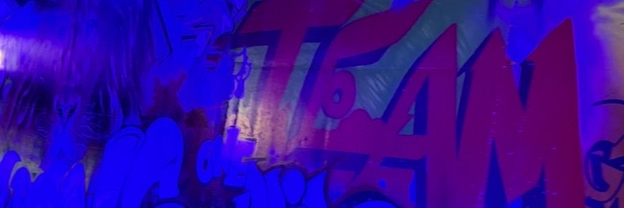 TX Lions Fan's banner