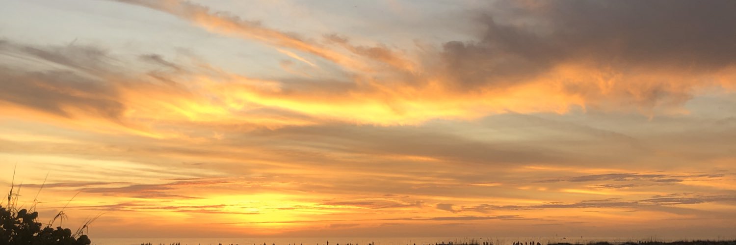 ChristineCass_'s profile banner image