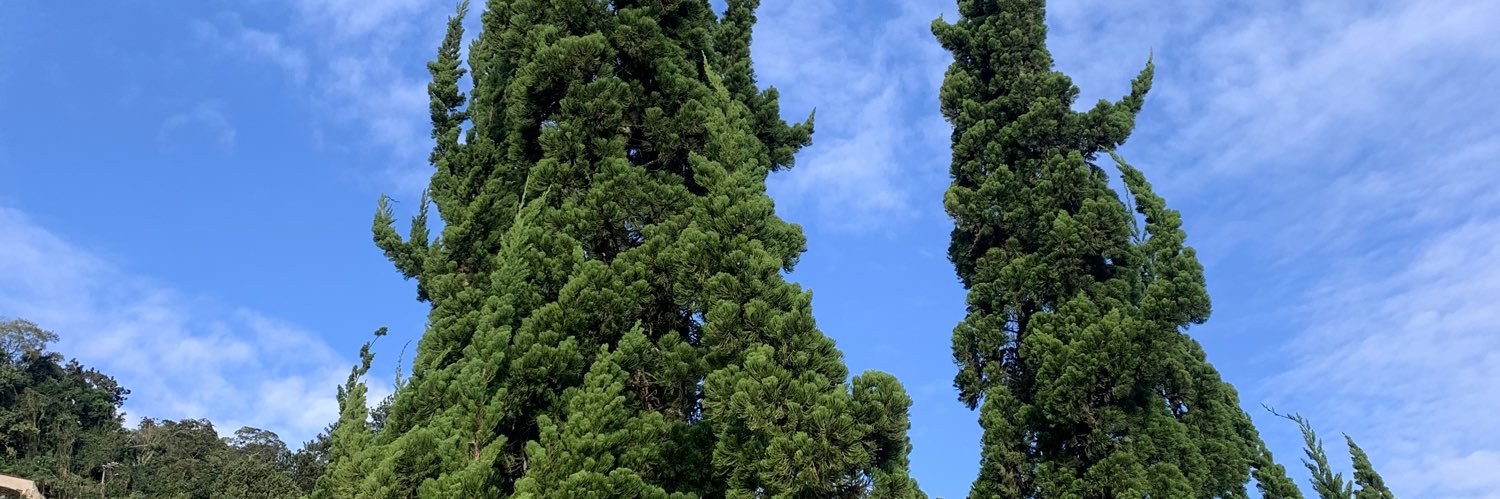 ThallesGolf's profile banner image