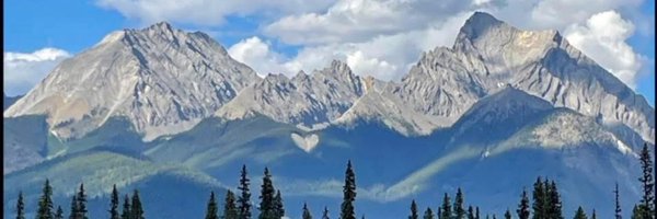 StaceyTMeyer Profile Banner