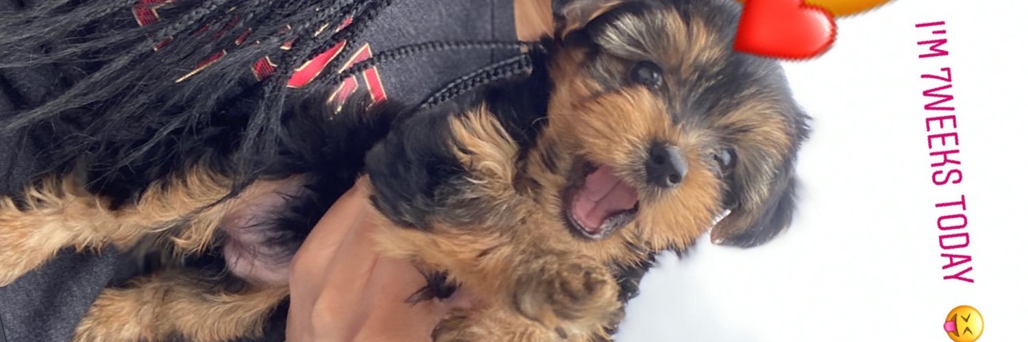 Asshley25's profile banner image