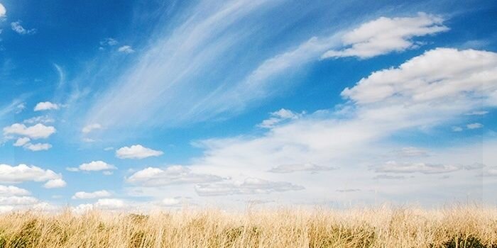 DearVieee's profile banner image